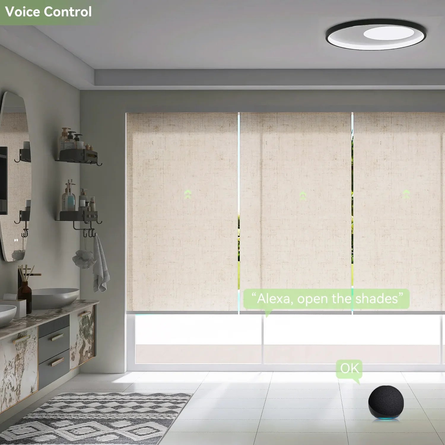 Voice control